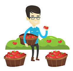 Image showing Farmer collecting tomatos vector illustration.