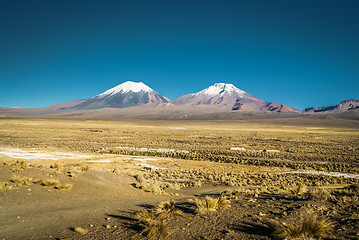 Image showing Parque Nacional Sajama