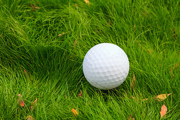Image showing Golf ball close-up