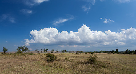 Image showing Beautiful steppe landscape