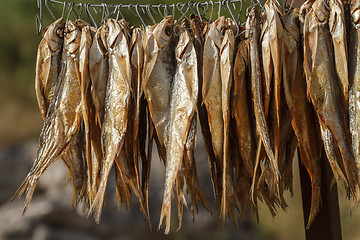 Image showing dried fish on a rope