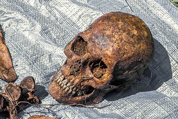 Image showing Skeleton remains of a buried unknown victim