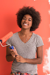 Image showing black woman painting wall