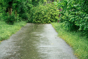 Image showing Consequences of the Hurricane