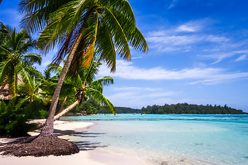 Image showing Paradise tropical beach and lagoon in Moorea Island