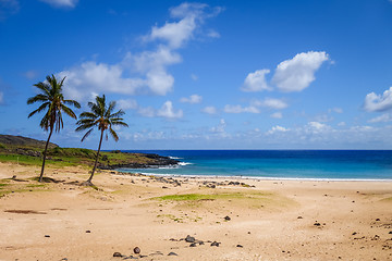 Image showing Palm trees on Anakena beach, easter island