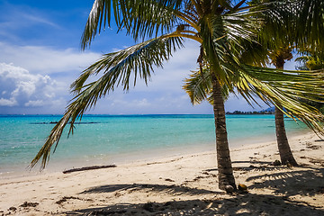 Image showing Paradise tropical beach and lagoon in Moorea Island