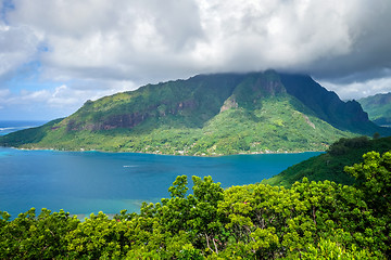 Image showing Aerial view of Opunohu Bay and lagoon in Moorea Island