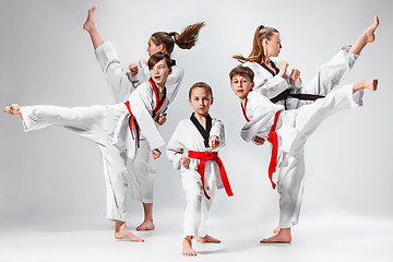 Image showing The studio shot of group of kids training karate martial arts