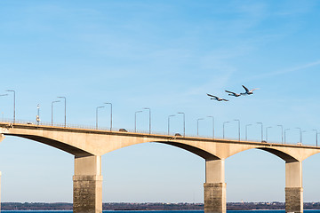 Image showing Flying swans by the bridge