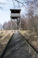 Image showing Wooden footbridge to the bird watching tower