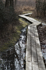 Image showing Curved wooden footpath