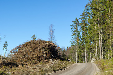 Image showing Firewood by roadside