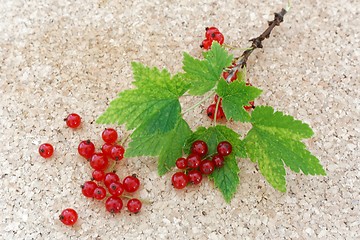 Image showing red currant berries