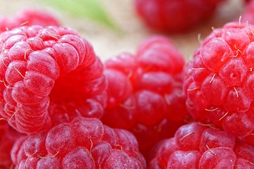 Image showing ripe red raspberries