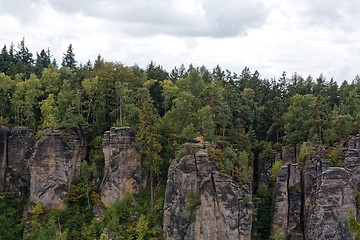 Image showing sandstone rocks - Prachovske skaly (Prachov Rocks)