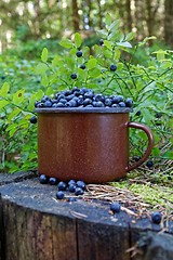 Image showing blueberries in forest