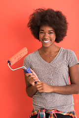 Image showing black woman painting wall