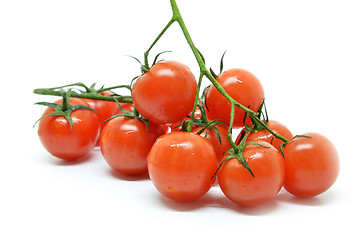 Image showing Red cherry tomato