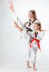 Image showing The studio shot of group of kids training karate martial arts