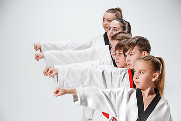 Image showing The studio shot of group of kids training karate martial arts