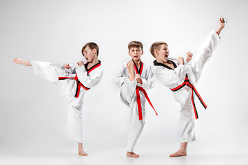 Image showing The studio shot of group of kids training karate martial arts