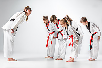 Image showing The studio shot of group of kids training karate martial arts