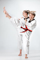 Image showing The studio shot of group of kids training karate martial arts