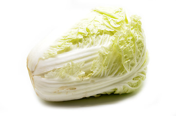 Image showing Nappa cabbage isolated