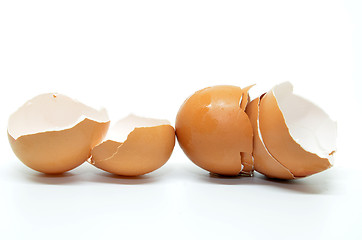 Image showing Broken egg shell