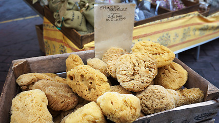 Image showing Baskets with natural marine sponges