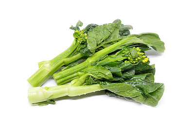 Image showing Bunch of floral choy sum