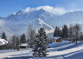 Image showing Winter Landscape