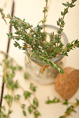 Image showing fresh thyme on a glass jar