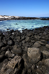 Image showing in lanzarote   pond  coastline and summer 