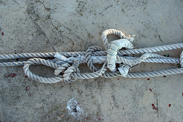 Image showing Rope of boat knotting