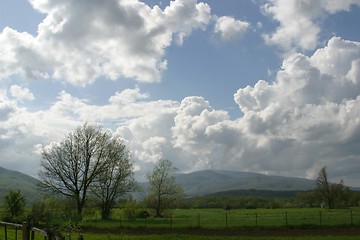 Image showing Landscape with blue sky and green herb