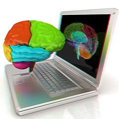 Image showing creative three-dimensional model of real human brain and scan on