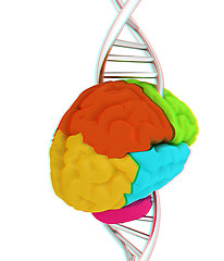 Image showing Brain and dna. 3d illustration. Anaglyph. View with red/cyan gla