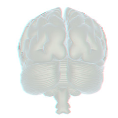 Image showing 3D illustration of human brain. Anaglyph. View with red/cyan gla