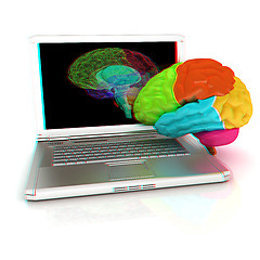 Image showing creative three-dimensional model of real human brain and scan on