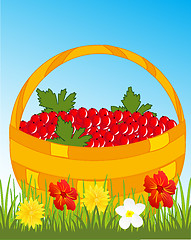 Image showing Basket with berry