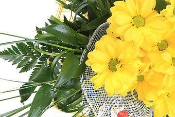 Image showing fresh yellow flowers 