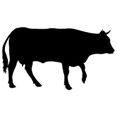 Image showing Black silhouette of cash cow on white background