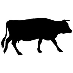 Image showing Black silhouette of cash cow on white background