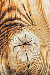 Image showing detail of spruce wood texture