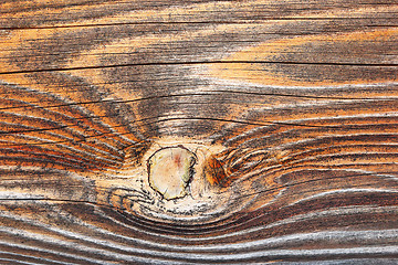 Image showing fir wood texture detail