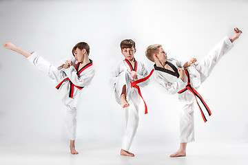 Image showing The studio shot of group of kids training karate martial arts