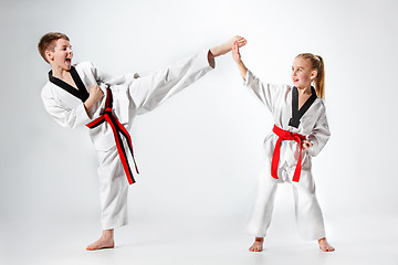 Image showing The studio shot of group of kids training karate martial arts