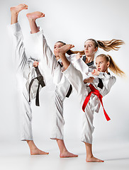 Image showing The studio shot of group of kids training karate martial arts